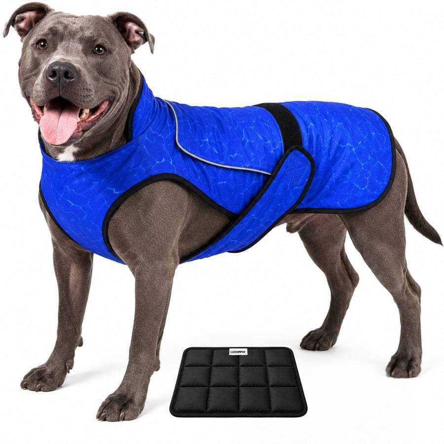 Dual Cool Ice Pack Cooling Vest for Dogs
