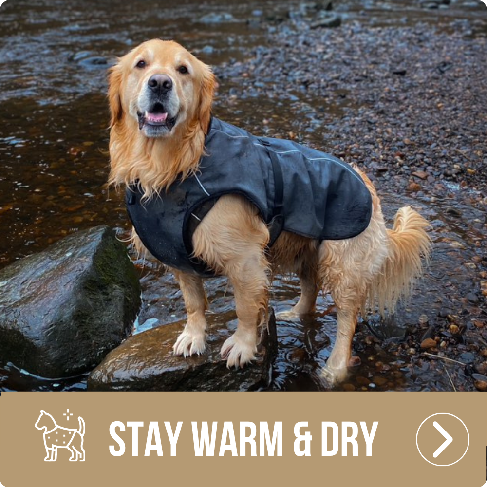 Stay warm & Dry - Self heating, Waterproof coats