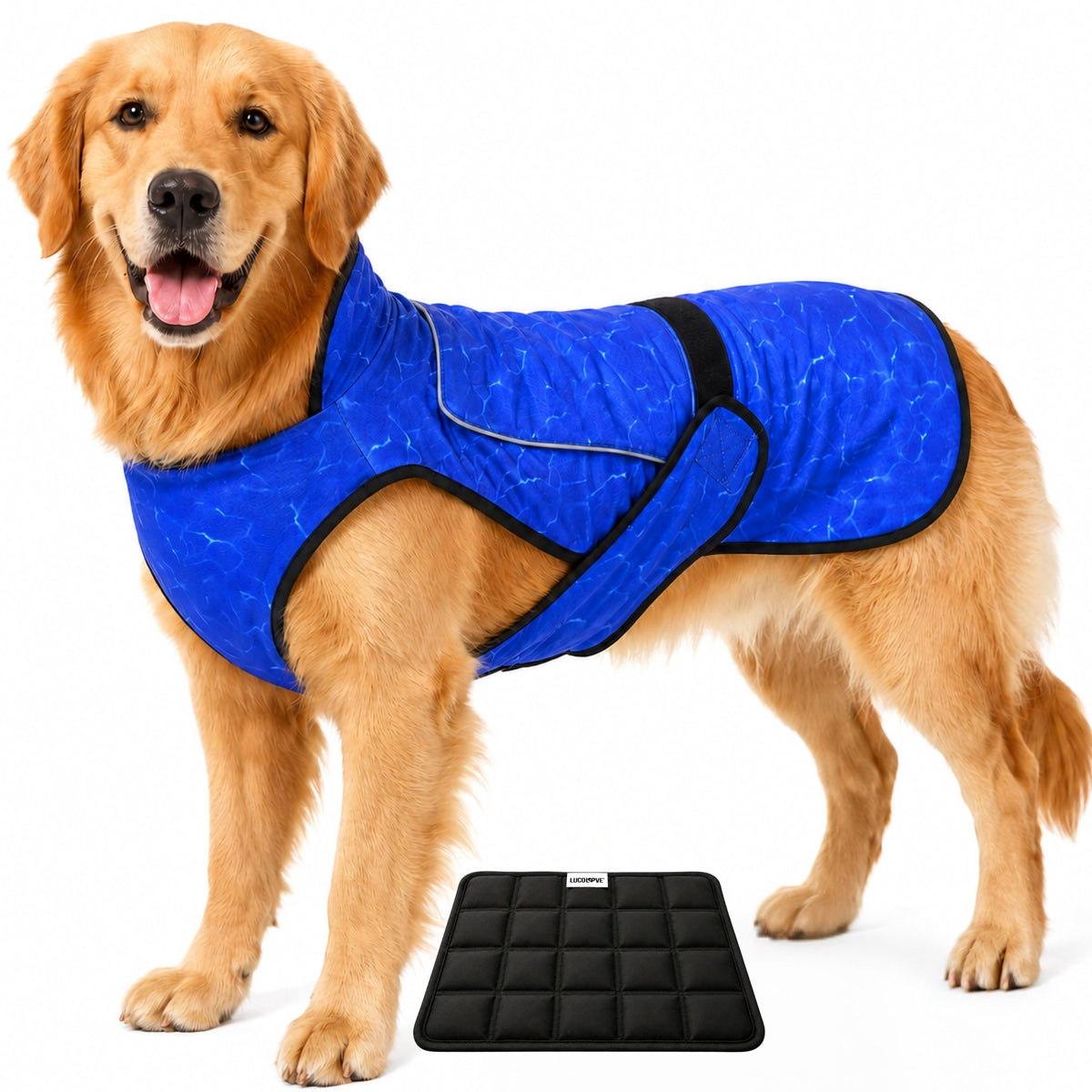 Dual Cool Ice Pack Cooling Vest for Dogs