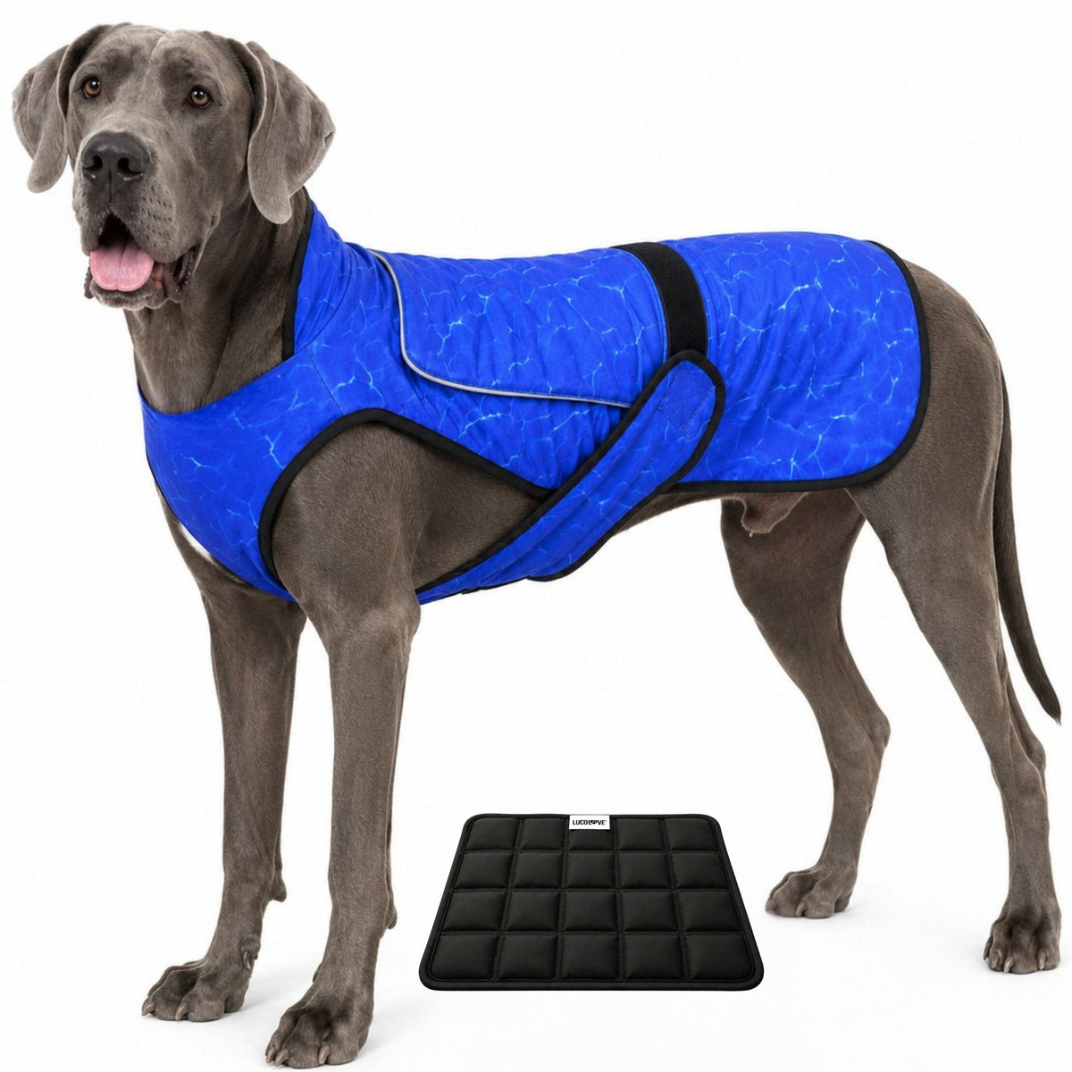 Dual Cool Ice Pack Cooling Vest for Dogs