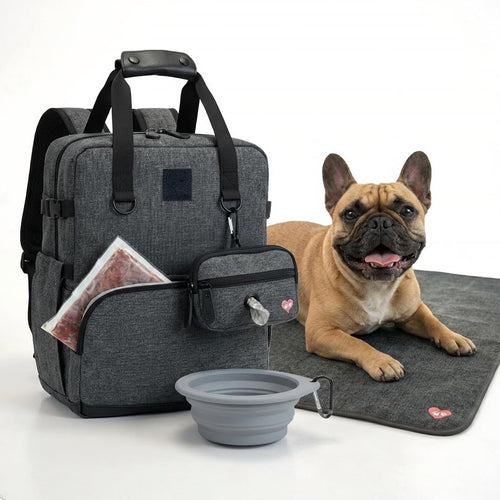 A gray dog travel backpack displayed with a collapsible bowl, waste bag dispenser, mat, and a French Bulldog.