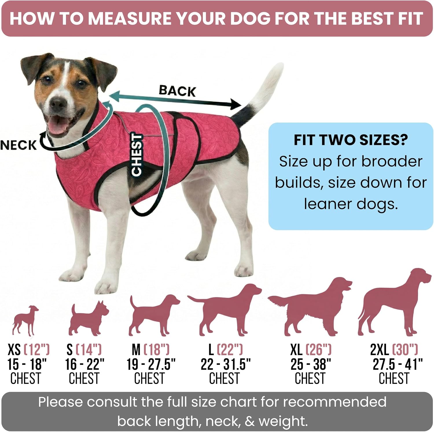 A sizing chart infographic illustrating how to measure a dog's neck, chest, and back length, featuring dog breed silhouettes across sizes XS through 2XL with chest measurements and sizing tips.