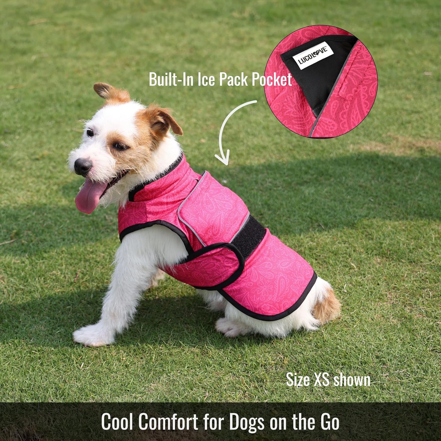 A small terrier sitting on a grassy lawn wearing a patterned bright pink cooling dog vest (size XS shown), with a circular inset callout showing the built-in ice pack pocket on top.