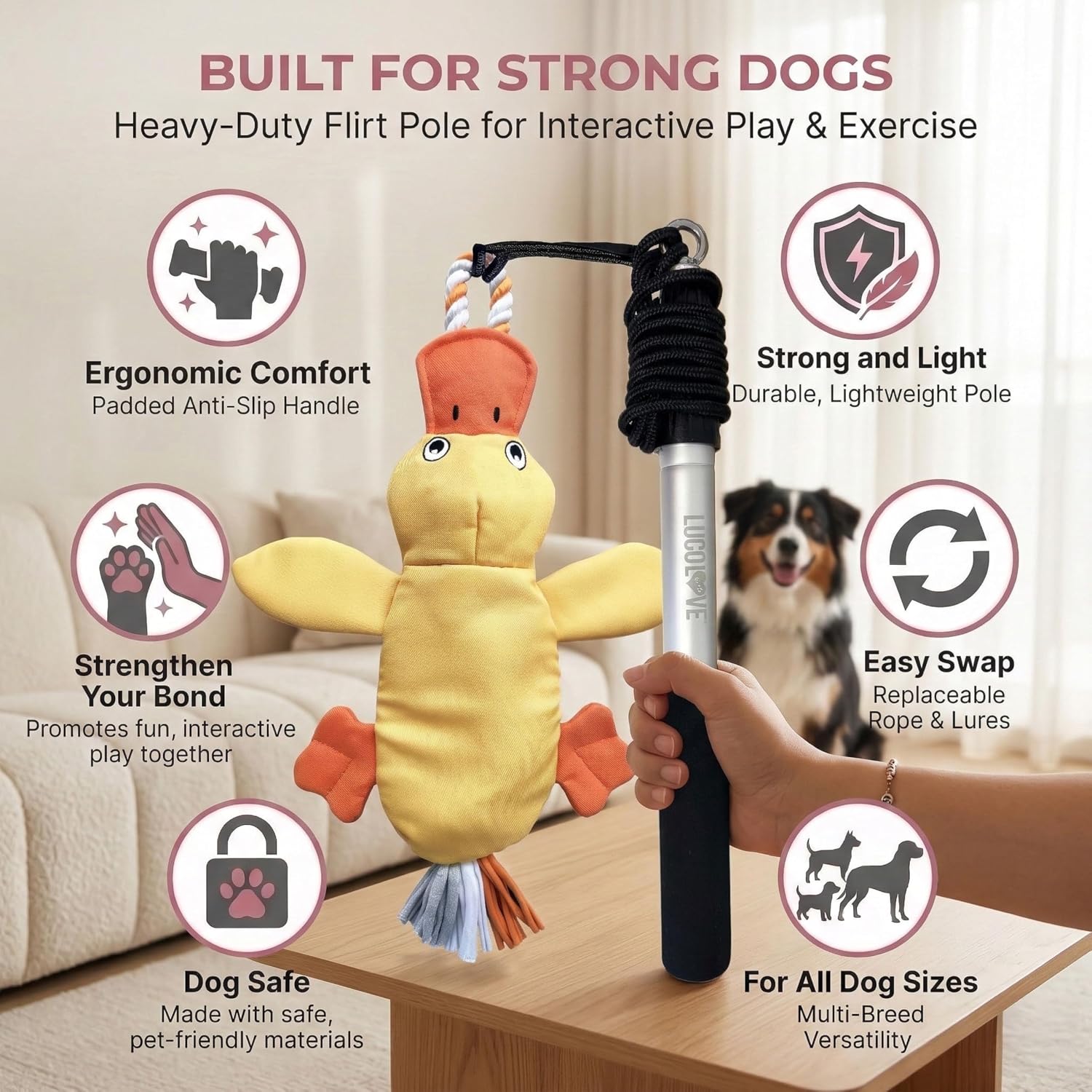 An infographic showing key features of the heavy-duty duck flirt pole toy, held by a person with a dog sitting in the background.