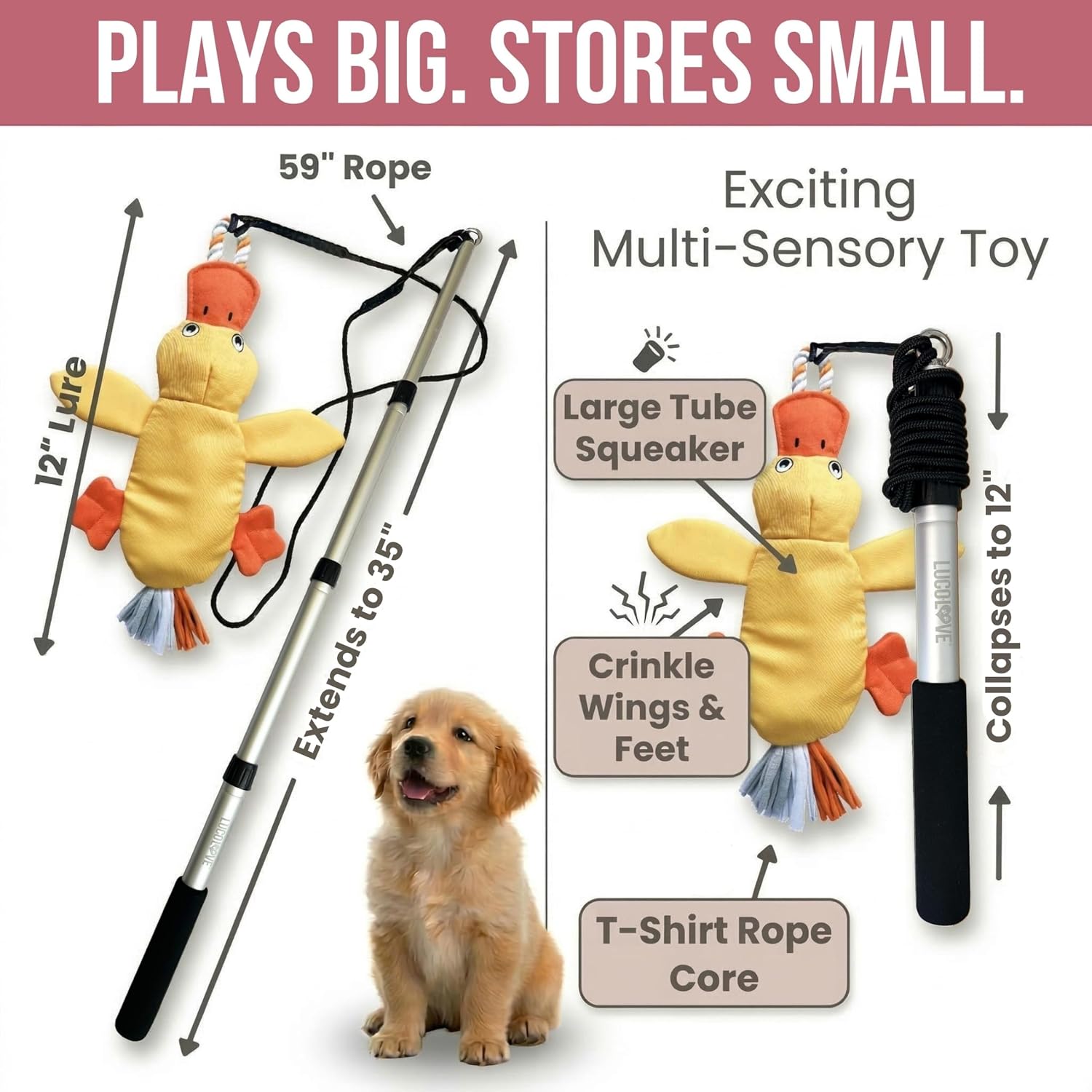 An infographic showing the product dimensions and sensory features of the collapsible duck flirt pole toy alongside a puppy.
