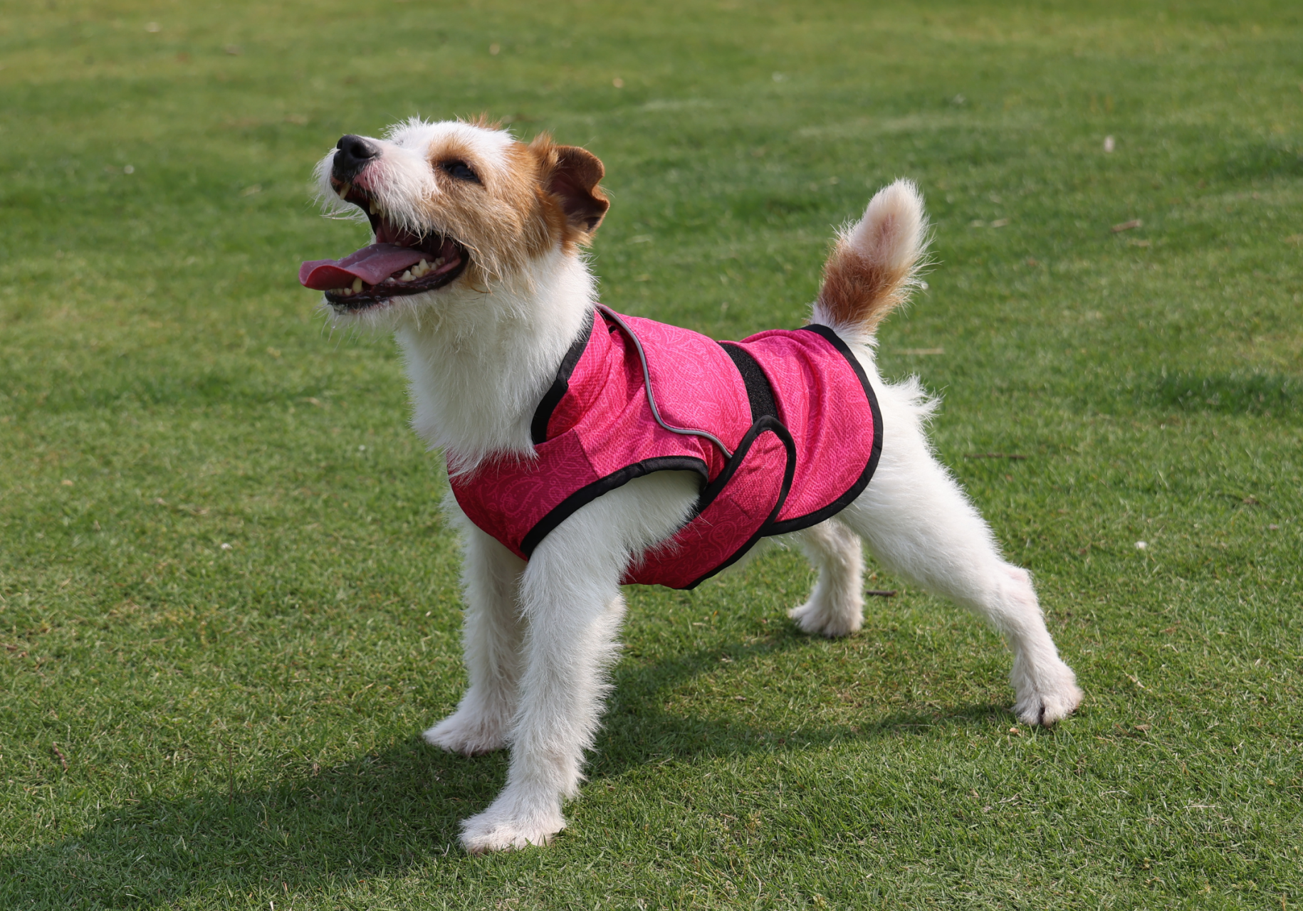 Dual Cool vest with its size matched gel ice pack insert