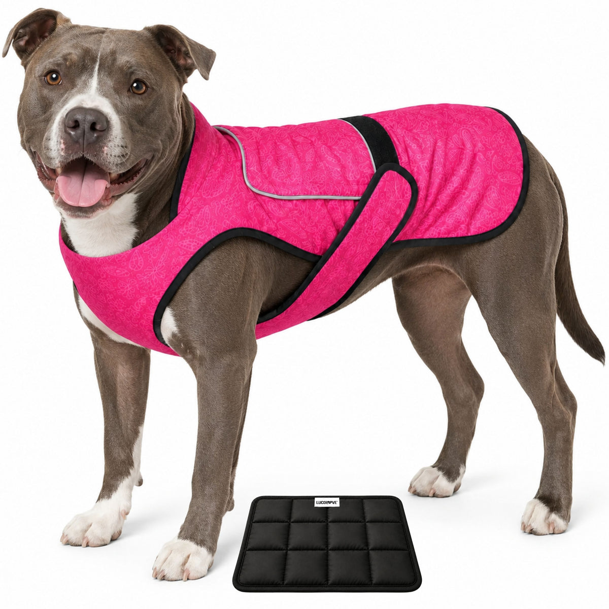 Dual Cool Ice Pack Cooling Vest for Dogs