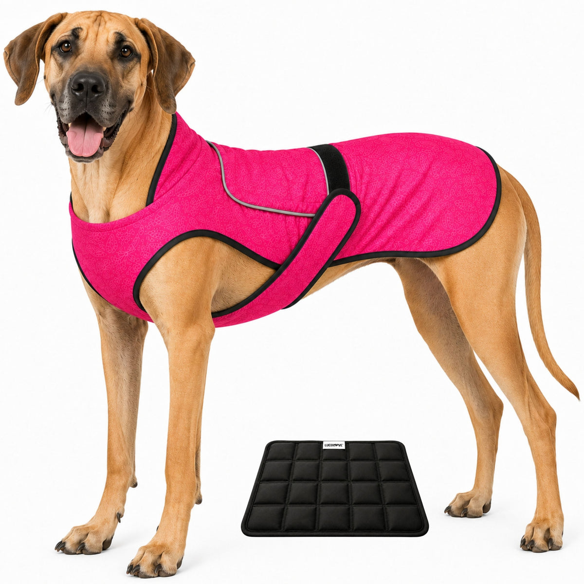 Dual Cool Ice Pack Cooling Vest for Dogs