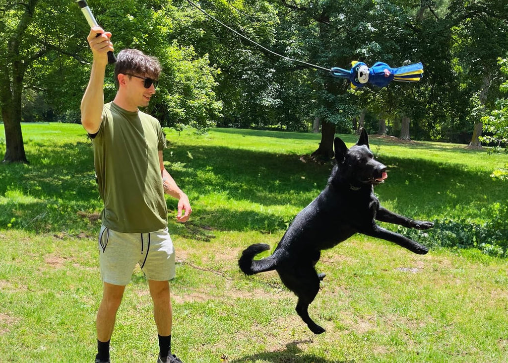 A man holding up a collapsed flirt pole in a park as a large black dog leaps into the air toward the dangling blue lure.