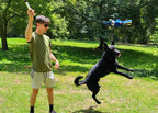 A man holding up a collapsed flirt pole in a park as a large black dog leaps into the air toward the dangling blue lure.