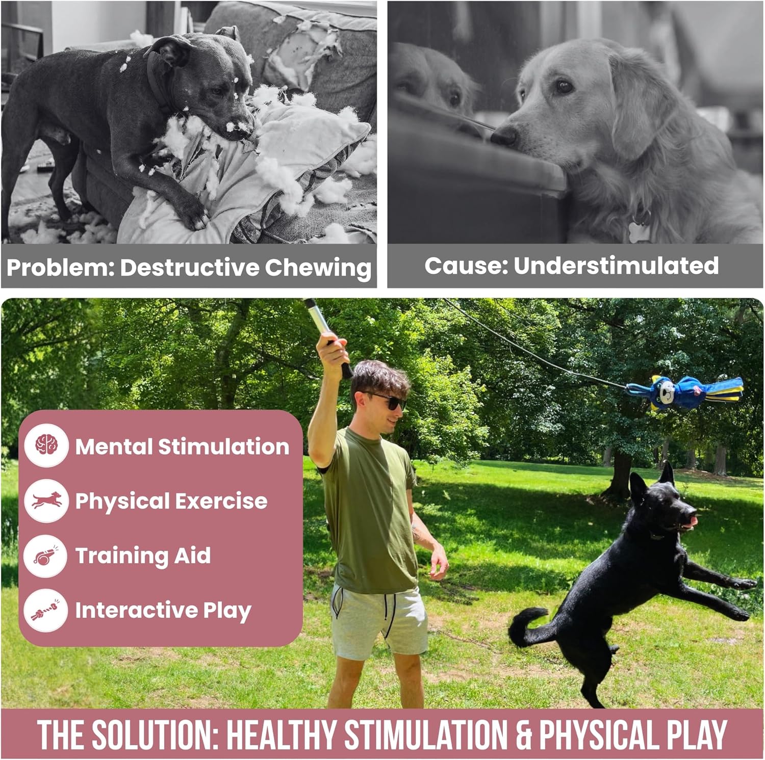 An infographic contrasting a bored, destructive dog with a dog running outdoors to chase a blue plush raccoon flirt pole toy.