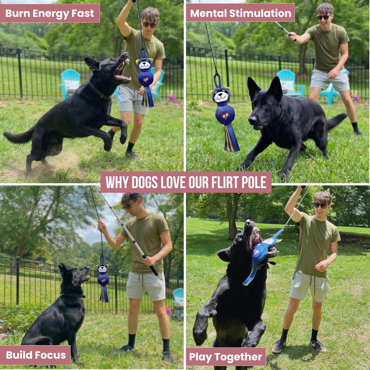 A four-panel grid showing a man exercising, training, and playing with a dog outdoors using a flirt pole with a raccoon lure.