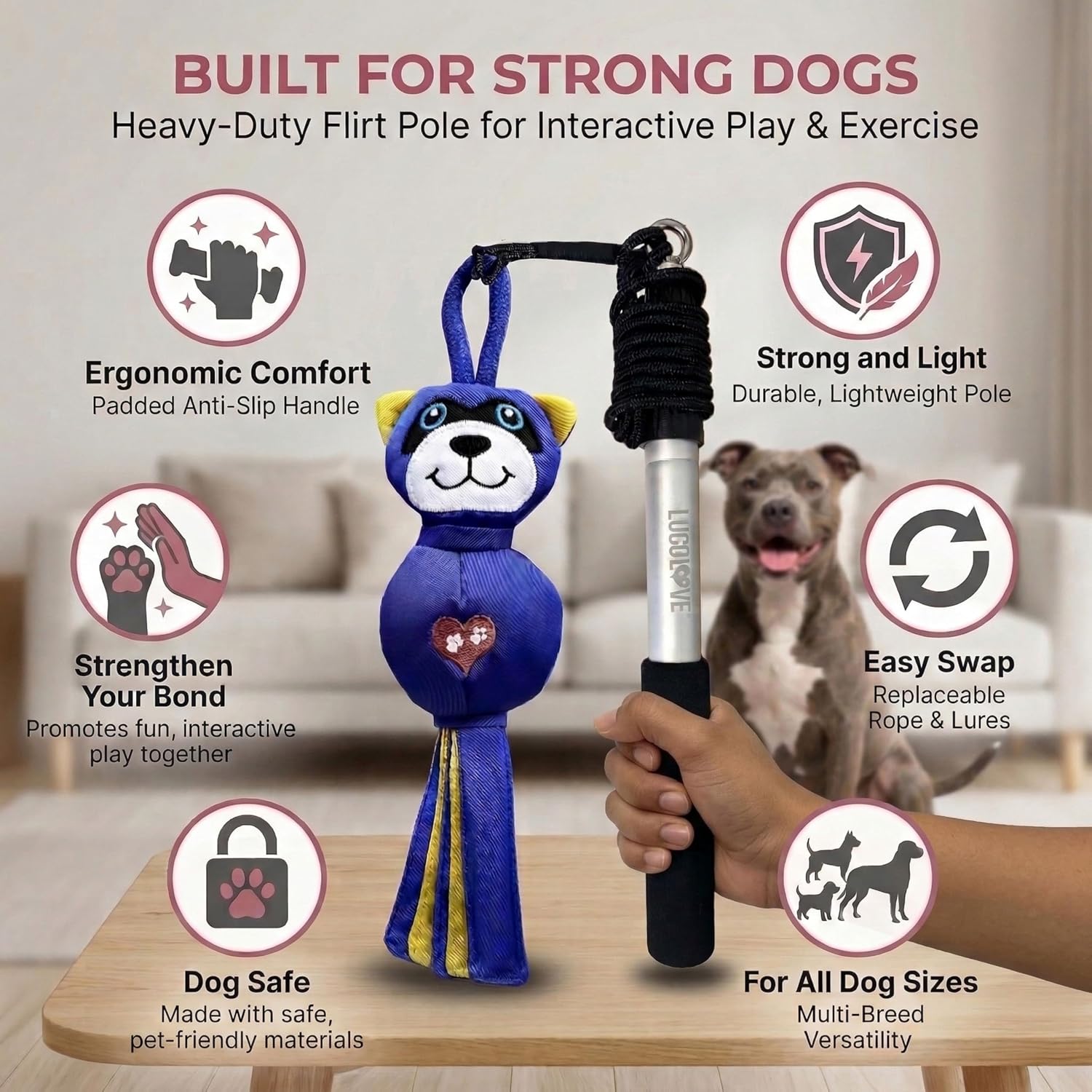 An infographic showing key features of the heavy-duty raccoon flirt pole toy, held by a person with a dog sitting in the background.