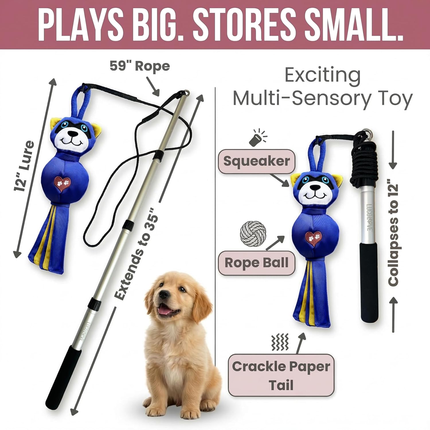 An infographic showing the product dimensions and sensory features of the collapsible raccoon flirt pole toy alongside a puppy.