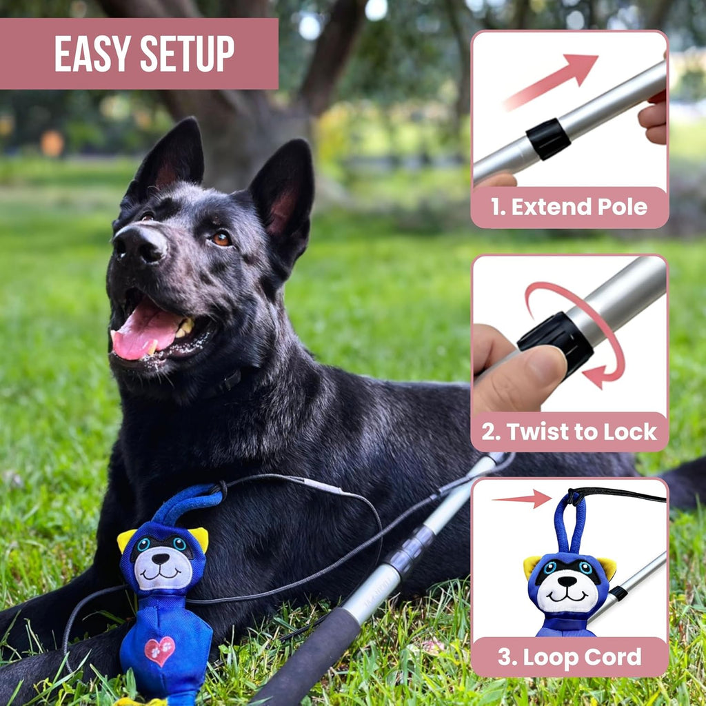An instructional diagram demonstrating the three-step setup process for the dog flirt pole, featuring a dog laying next to the toy outdoors.