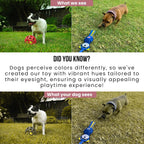 An infographic comparing human vision to canine vision, showing how the bright blue raccoon toy remains visible to a dog's eyesight.