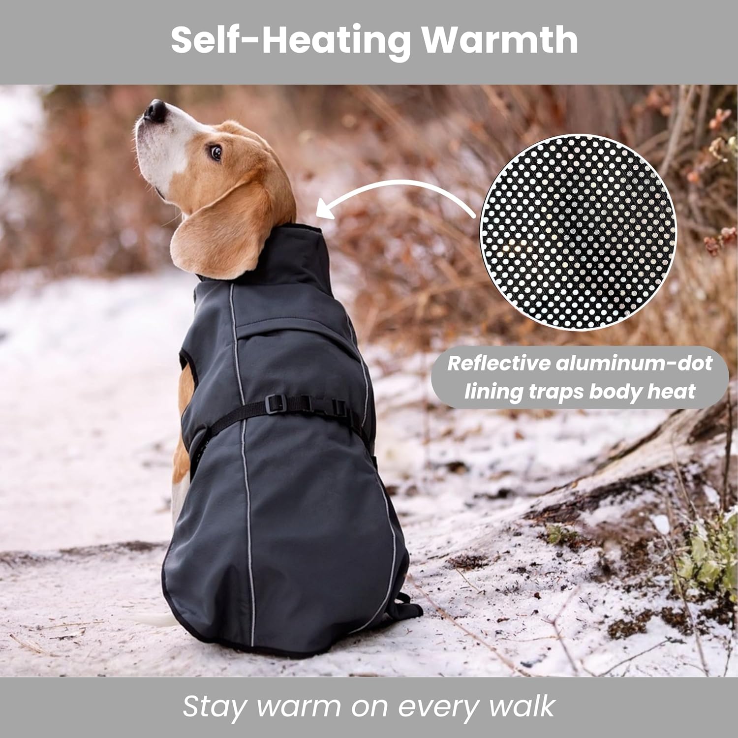 A Beagle sitting in the snow wearing a gray thermal dog coat, with a circular callout highlighting its reflective aluminum-dot inner lining that traps body heat.