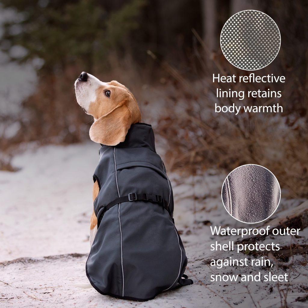 Dog wearing the Lucolove self-heating winter coat in the snow