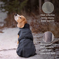 Dog wearing the Lucolove self-heating winter coat in the snow
