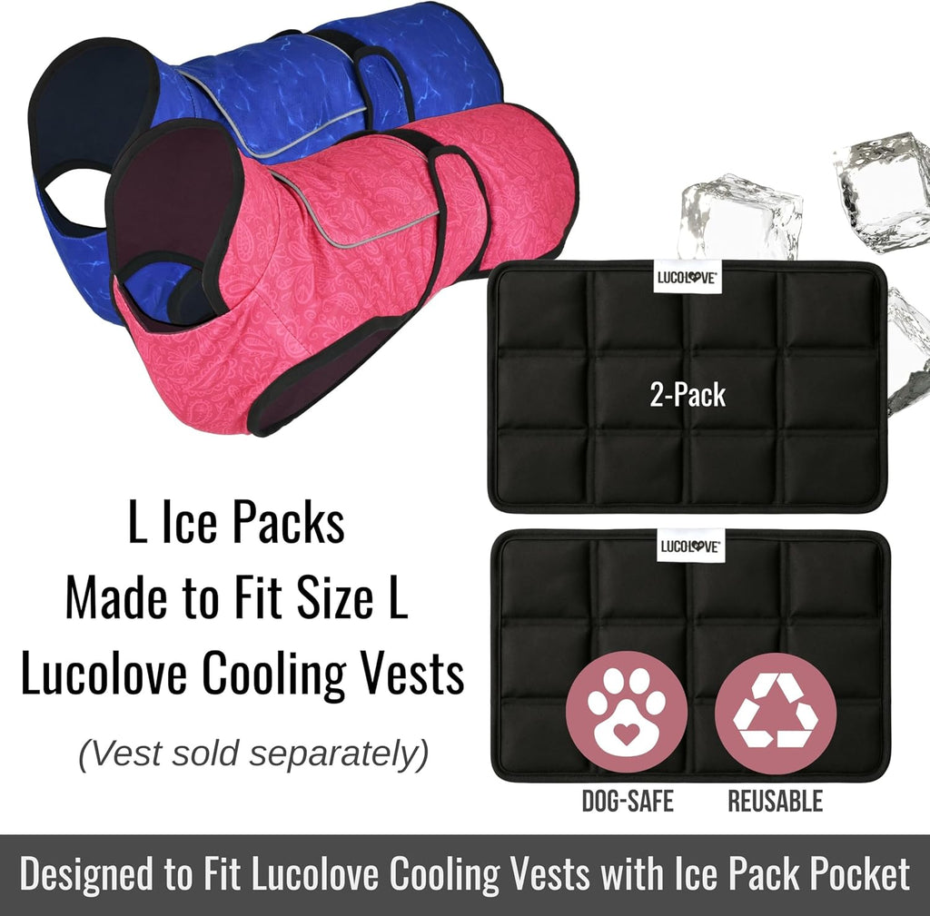 Spare Ice Pack for Dual Cool Vest (2 Pack)